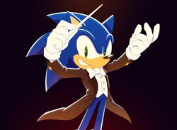 Sonic 30th Anniversary Symphony - Live!
