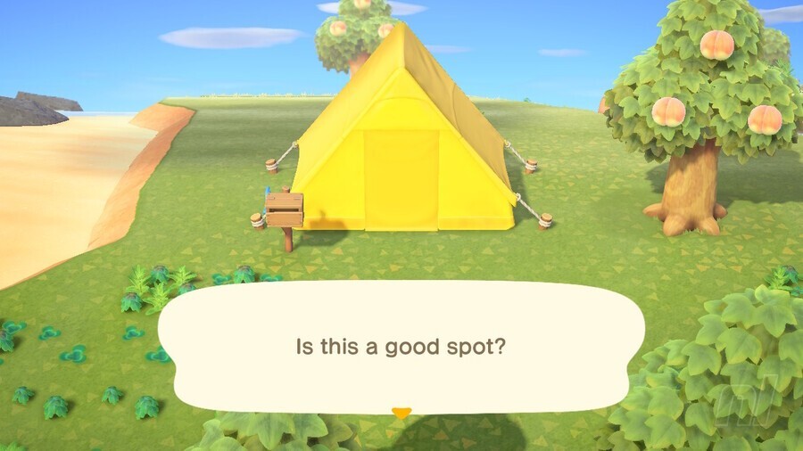 Animal Crossing New Horizons Nintendo Switch