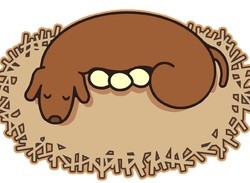 HAL Laboratory Celebrates 40th Anniversary With New Website And Artwork