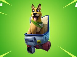 Epic Pulls Fortnite Dog From Sale After Player Backlash, Compensation Being Provided