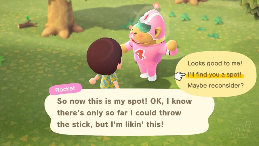 Animal Crossing New Horizons Nintendo Switch