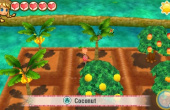 Story of Seasons: Trio of Towns - Screenshot 8 of 10