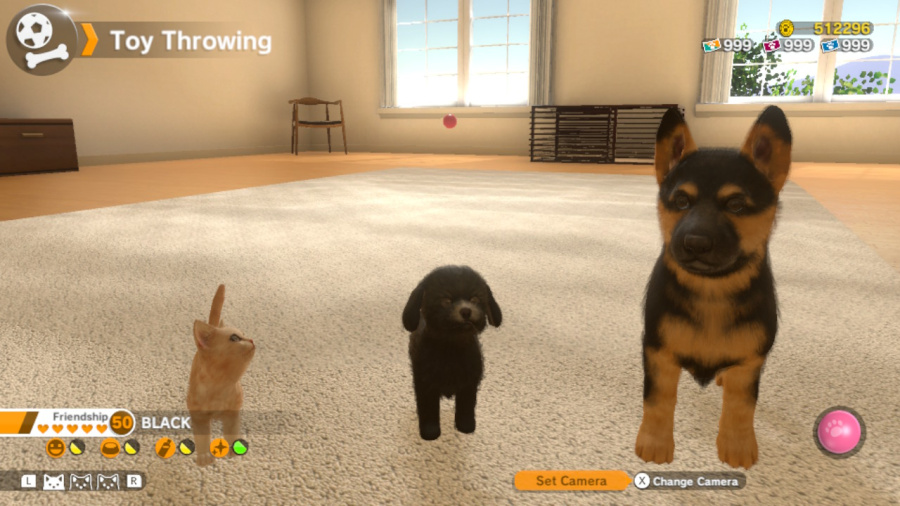 Little Friends: Dogs & Cats Review - Screenshot 1 of 5