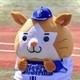 akkun5656